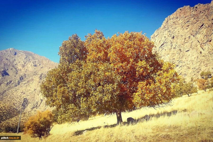 کوه پیمایی پیشکسوتان، اساتید و کارکنان آموزشکده ، استانداری و آموزش و پرورش در منطقه تنگ بزاز خانه کرمانشاه 12