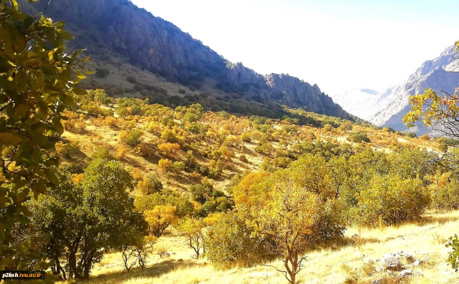 کوه پیمایی پیشکسوتان، اساتید و کارکنان آموزشکده ، استانداری و آموزش و پرورش در منطقه تنگ بزاز خانه کرمانشاه 13