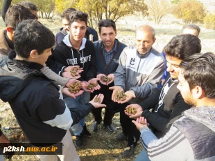 مراسم کاشت دانه های بلوط توسط دانشجویان آموزشکده فنی شماره 2 کرمانشاه 2