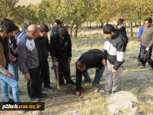 مراسم کاشت دانه های بلوط توسط دانشجویان آموزشکده فنی شماره 2 کرمانشاه 3