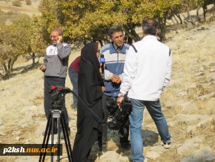 مراسم کاشت دانه های بلوط توسط دانشجویان آموزشکده فنی شماره 2 کرمانشاه 10